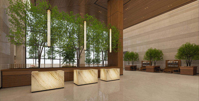 Why Sunlight is the Most Underrated Luxury in Modern Homes?